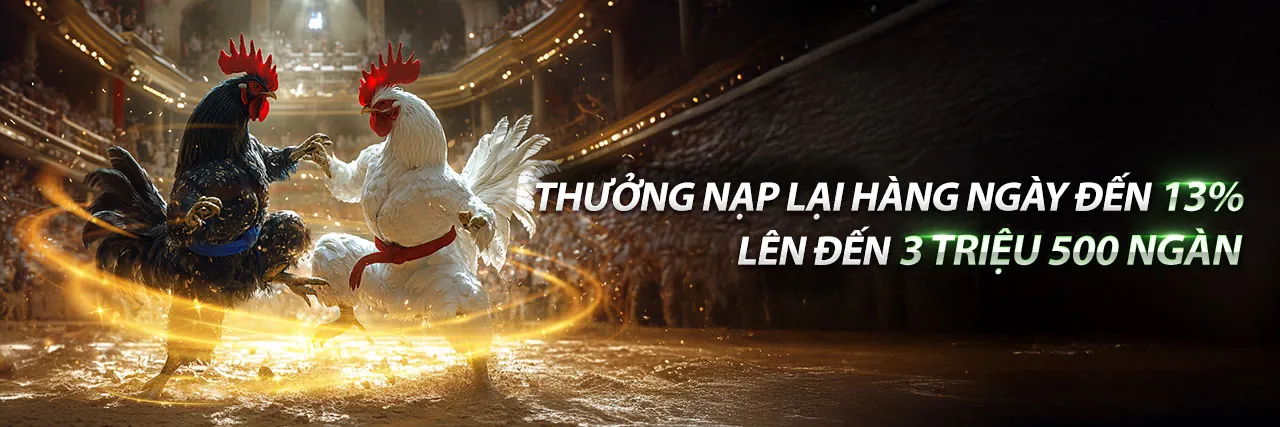 Đá Gà Trực Tuyến Hấp Dẫn tại 13win12 Nhà Cái